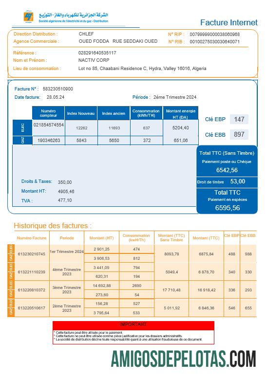 em branco Argélia Societe Argélia Distribuição Internet Business Utility Bill Modelo Word e PDF